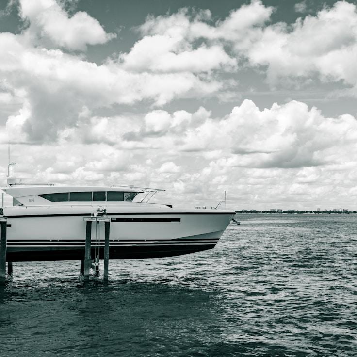 Marine lifestyle snapshot